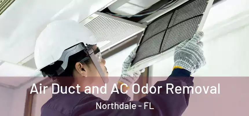 Air Duct and AC Odor Removal Northdale - FL