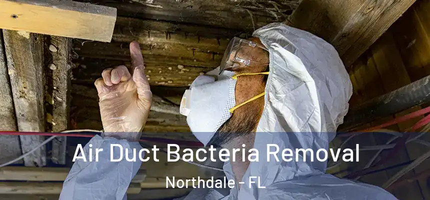 Air Duct Bacteria Removal Northdale - FL