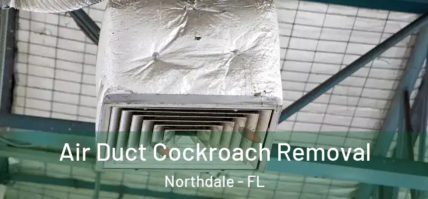 Air Duct Cockroach Removal Northdale - FL
