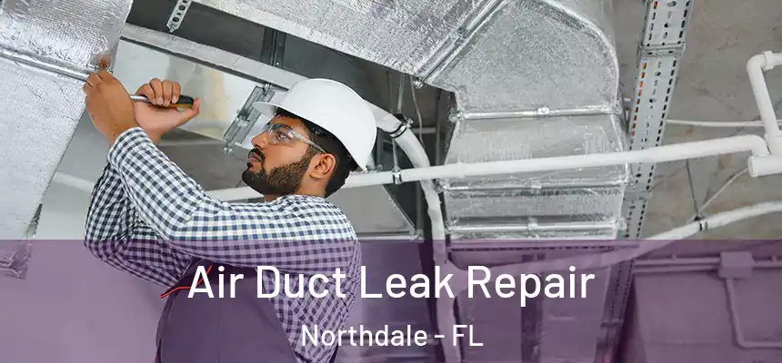 Air Duct Leak Repair Northdale - FL