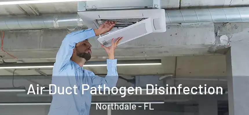 Air Duct Pathogen Disinfection Northdale - FL