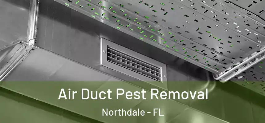 Air Duct Pest Removal Northdale - FL