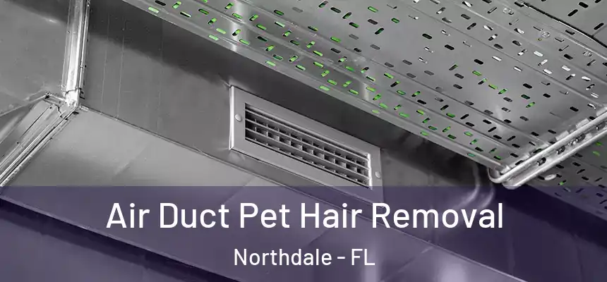 Air Duct Pet Hair Removal Northdale - FL