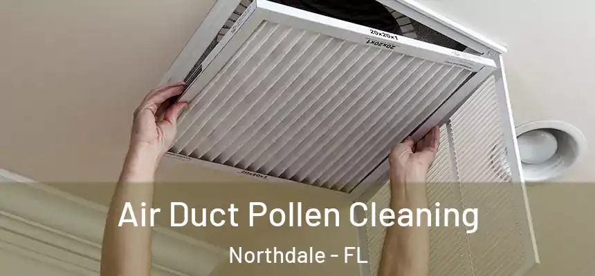 Air Duct Pollen Cleaning Northdale - FL