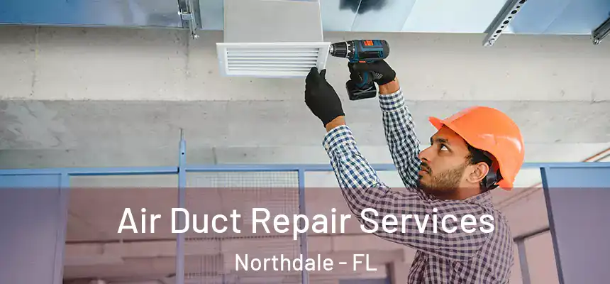 Air Duct Repair Services Northdale - FL