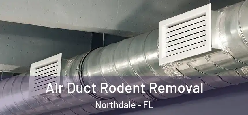 Air Duct Rodent Removal Northdale - FL