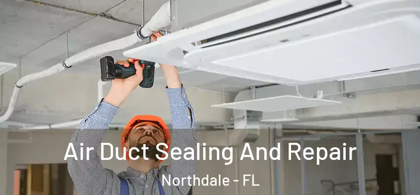Air Duct Sealing And Repair Northdale - FL