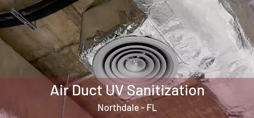 Air Duct UV Sanitization Northdale - FL