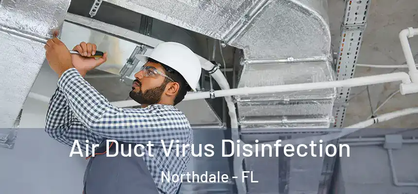 Air Duct Virus Disinfection Northdale - FL