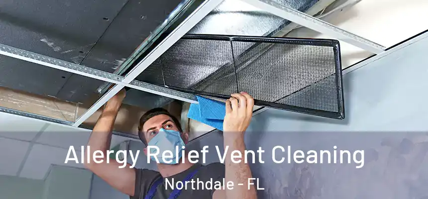 Allergy Relief Vent Cleaning Northdale - FL