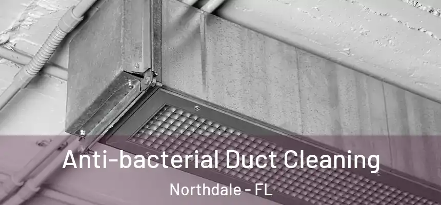 Anti-bacterial Duct Cleaning Northdale - FL