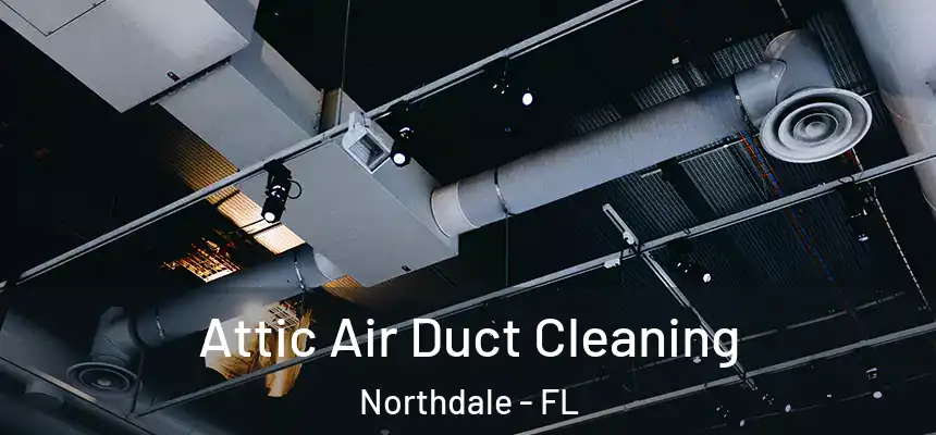 Attic Air Duct Cleaning Northdale - FL