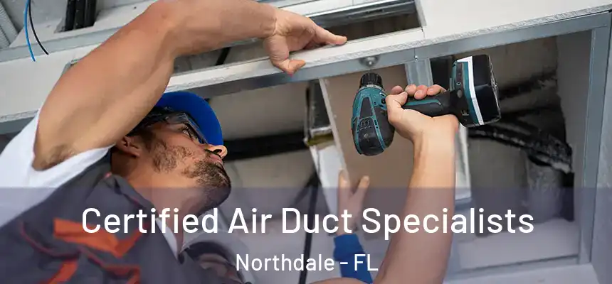Certified Air Duct Specialists Northdale - FL