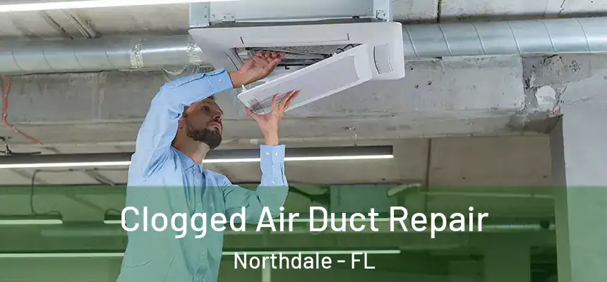 Clogged Air Duct Repair Northdale - FL