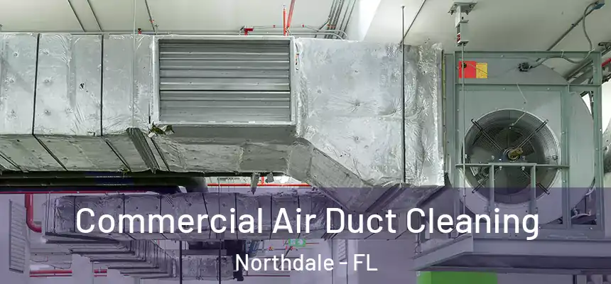 Commercial Air Duct Cleaning Northdale - FL