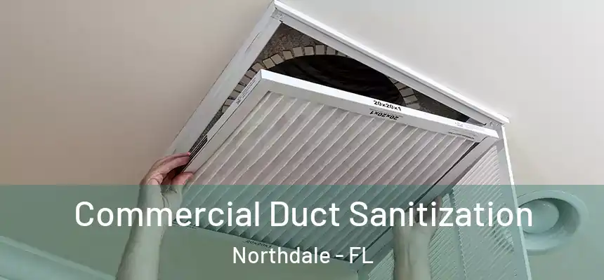 Commercial Duct Sanitization Northdale - FL
