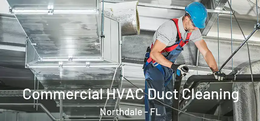 Commercial HVAC Duct Cleaning Northdale - FL