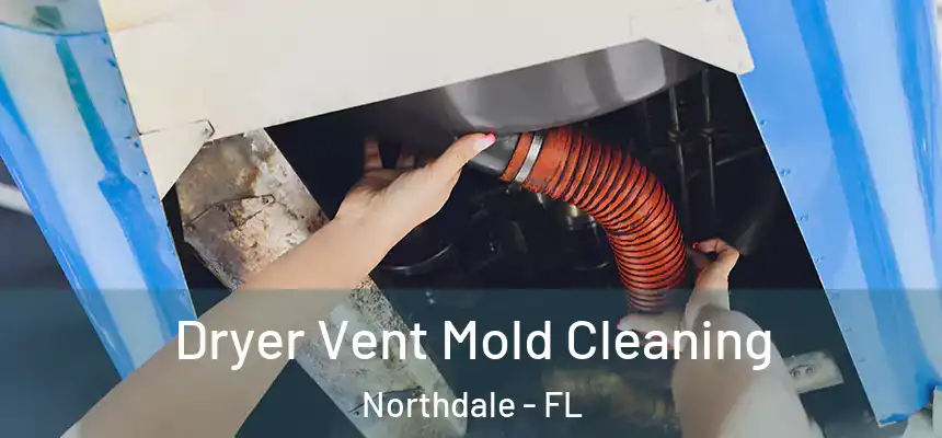 Dryer Vent Mold Cleaning Northdale - FL