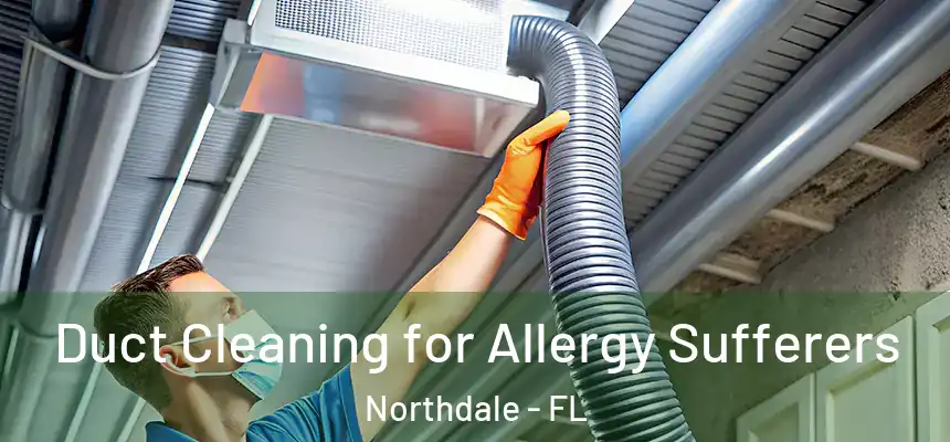 Duct Cleaning for Allergy Sufferers Northdale - FL