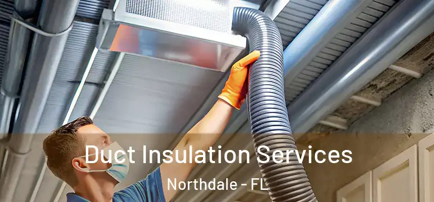 Duct Insulation Services Northdale - FL