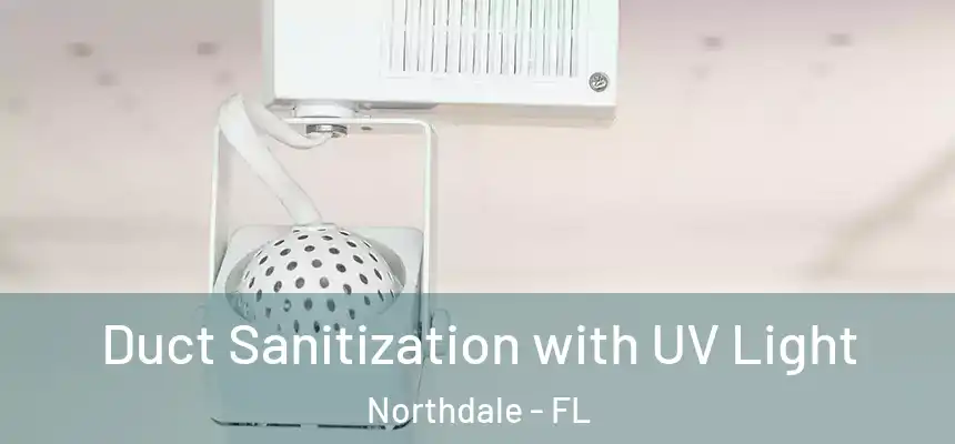  Duct Sanitization with UV Light Northdale - FL