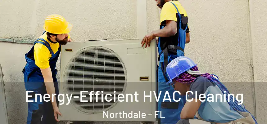 Energy-Efficient HVAC Cleaning Northdale - FL