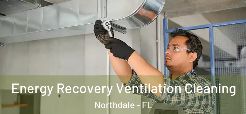 Energy Recovery Ventilation Cleaning Northdale - FL