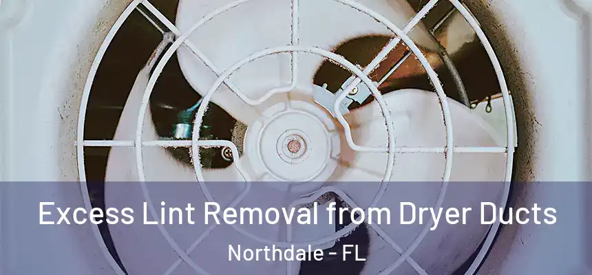 Excess Lint Removal from Dryer Ducts Northdale - FL