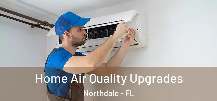 Home Air Quality Upgrades Northdale - FL