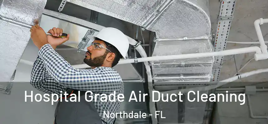 Hospital Grade Air Duct Cleaning Northdale - FL