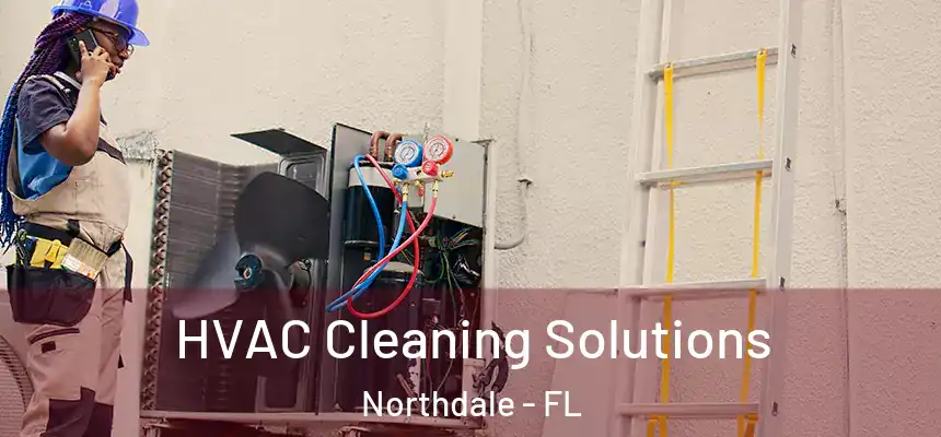 HVAC Cleaning Solutions Northdale - FL