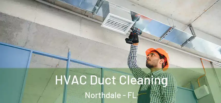 HVAC Duct Cleaning Northdale - FL