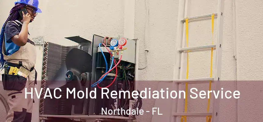 HVAC Mold Remediation Service Northdale - FL