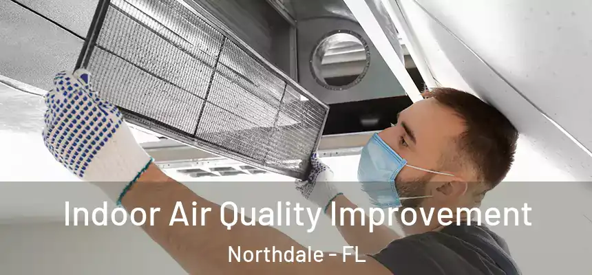 Indoor Air Quality Improvement Northdale - FL