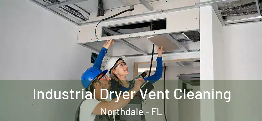 Industrial Dryer Vent Cleaning Northdale - FL