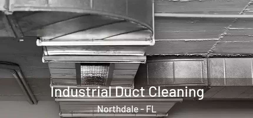 Industrial Duct Cleaning Northdale - FL