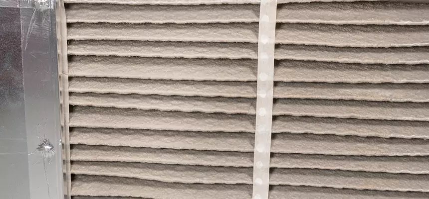 Mobile Car AC Filter Replacement in Northdale