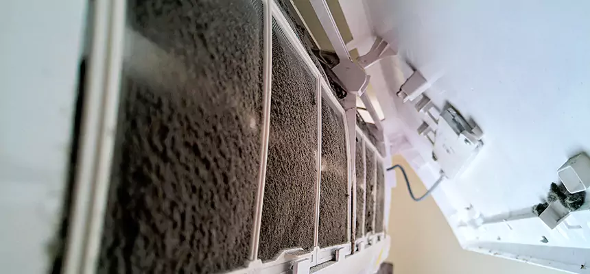 Preventive Air Duct Bacteria Removal in Northdale