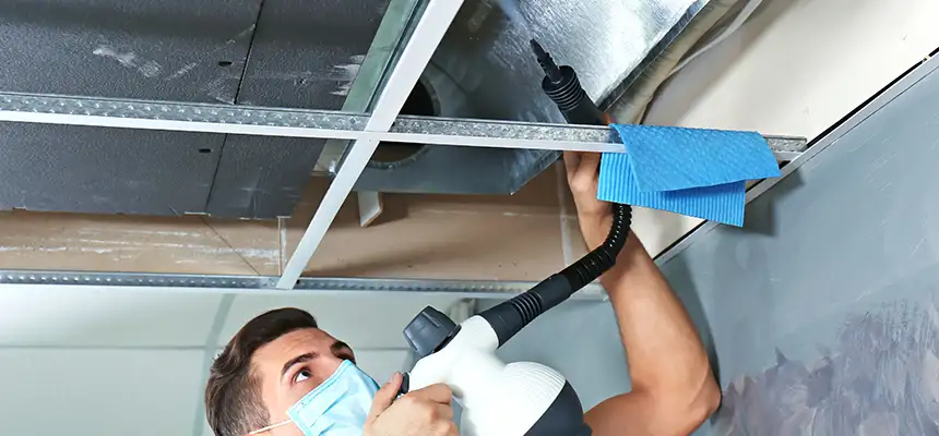 Our Air Duct Rodent Removal Services in Northdale, FL