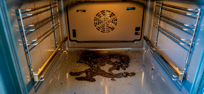 Our Dryer Vent Mold Cleaning Services in Northdale, FL