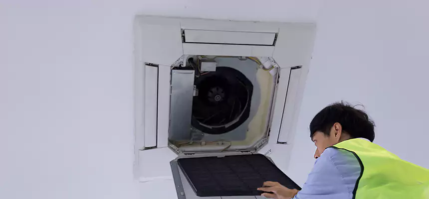 Our Dryer Vent Sanitization Service Services in Northdale, FL
