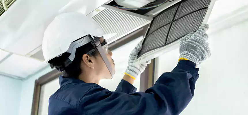 Our Mold & Mildew Removal from Air Ducts Services in Northdale, FL