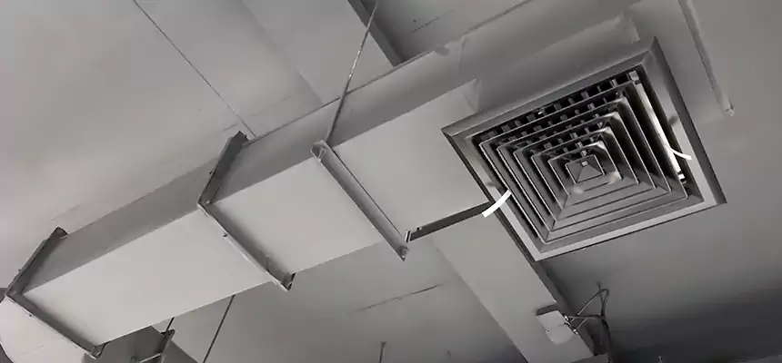 Our Pest Removal From Ducts Services in Northdale, FL