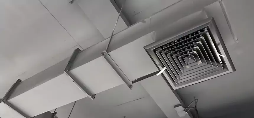 Our Rodent Droppings In Vents Services in Northdale, FL