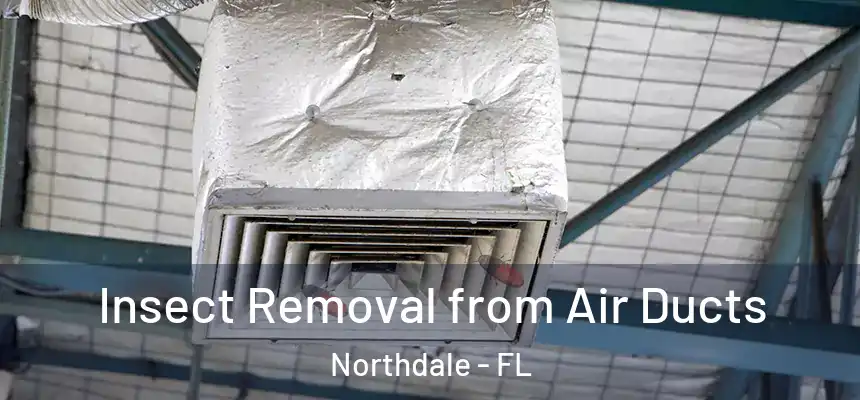 Insect Removal from Air Ducts Northdale - FL