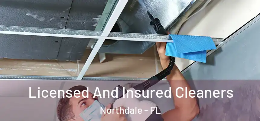 Licensed And Insured Cleaners Northdale - FL