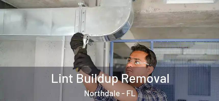  Lint Buildup Removal Northdale - FL