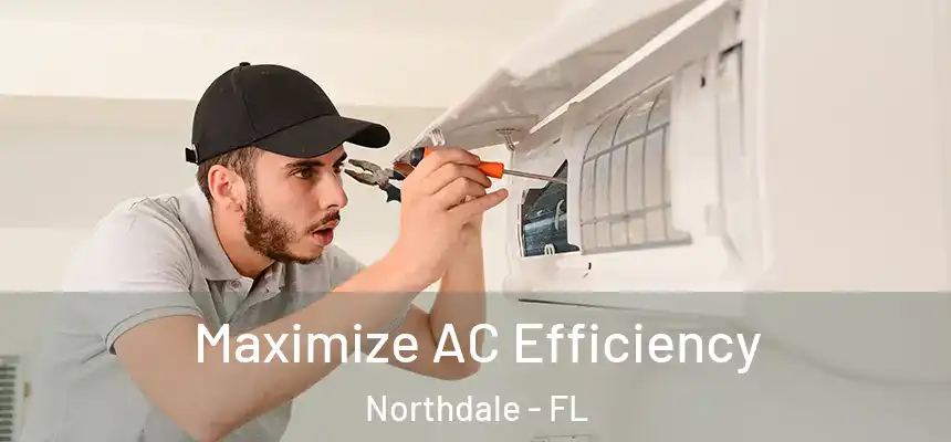  Maximize AC Efficiency Northdale - FL