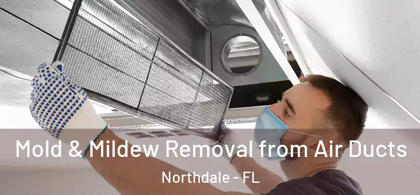 Mold & Mildew Removal from Air Ducts Northdale - FL
