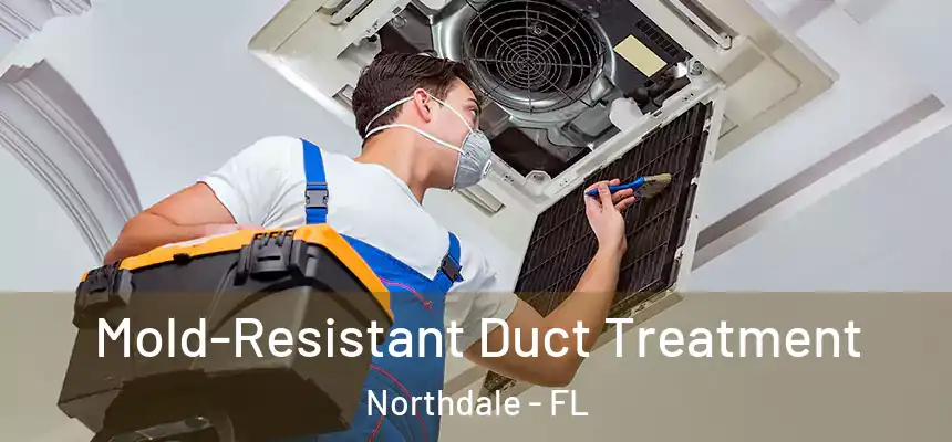 Mold-Resistant Duct Treatment Northdale - FL